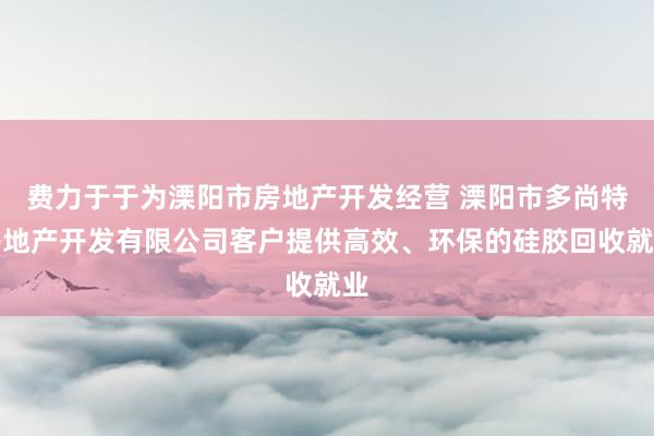费力于于为溧阳市房地产开发经营 溧阳市多尚特房地产开发有限公司客户提供高效、环保的硅胶回收就业